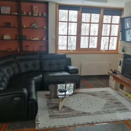 Vila Panic Zlatibor Exterior foto