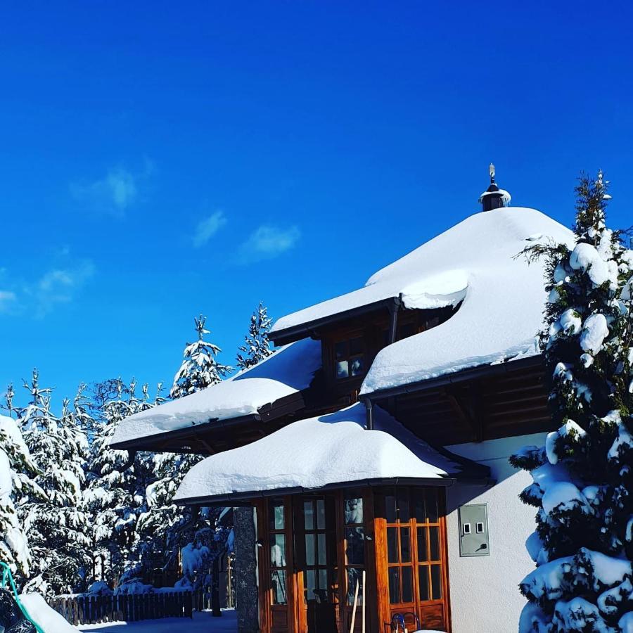 Vila Panic Zlatibor Exterior foto